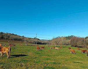 Verblijf 05417801 - Vakantiewoning Aquitaine - Huisje in Saint Cirq Madelon