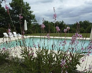 Verblijf 05421708 - Vakantiewoning Aquitaine - Vakantiehuisje in Monflanquin