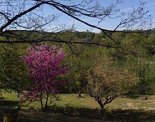 Guest house 05447003 - Holiday property Aquitaine - Vakantiehuisje in Villefranche-du-Prigord