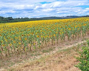 Verblijf 0546003 - Vakantiewoning Aquitaine - Vakantiehuis in saint pierre de buzet