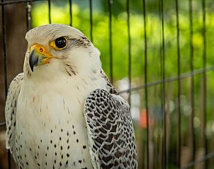 Verblijf 054603404 - Vakantiewoning Aquitaine - Gite La Folie