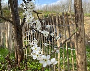 Verblijf 054603404 - Vakantiewoning Aquitaine - Gite La Folie