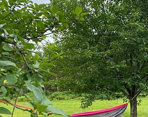 Unterkunft 05476501 - Ferienhaus Aquitaine - Vakantiehuis in Morcenx