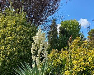 Verblijf 05485601 - Vakantiewoning Aquitaine - Vakantiehuis in Lamonzie-Saint-Martin