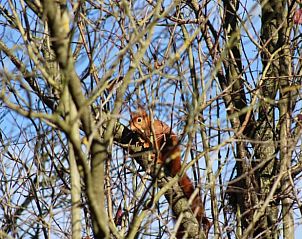 Unterkunft 05515701 - Ferienhaus Picardie - Vakantiehuisje in Saint Maulvis