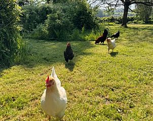 Unterkunft 0552701 - Ferienhaus Picardie - Vakantiehuis in Besmont
