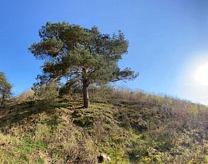 Verblijf 056008 - Stacaravan Limburg - Vakantieverblijf Shecoco