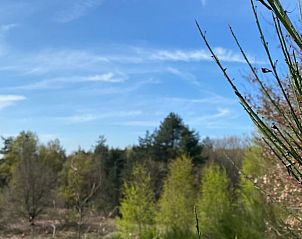 Verblijf 056008 - Stacaravan Limburg - Vakantieverblijf Shecoco