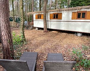 Verblijf 056609 - Bijzondere overnachtingen Limburg - Romantische pipowagen in het bos nabij Maastricht met 2 slaa
