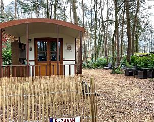 Verblijf 056609 - Bijzondere overnachtingen Limburg - Romantische pipowagen in het bos nabij Maastricht met 2 slaa