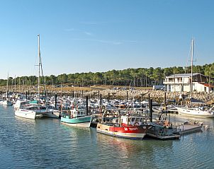 Guest house 0572429 - Holiday property Poitou-Charentes - Vakantiehuis Maison du bois