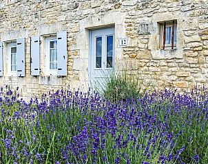 Guest house 05728701 - Holiday property Poitou-Charentes - Vakantiehuis Ile d'Olron