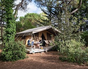 Das Zelt Sweet von Toile&Bois in Sainte-Marie-de-R bietet ein entspanntes Glamping-Erlebnis inmitten der Natur in der Region Poitou-Charentes in Frankreich.