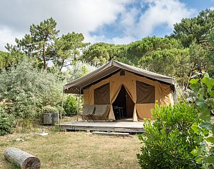 Genieen Sie die Ruhe im Zelt Sweet von Toile&Bois, einer Glamping-Lodge in Sainte-Marie-de-R in der Region Poitou-Charentes, umgeben von ppiger Natur.