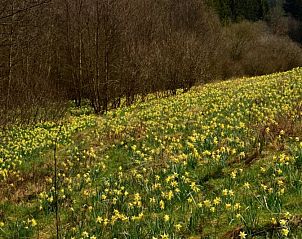 Guest house 060107 - Holiday property Liege - Casa Verde Maspelt