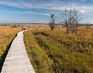 Guest house 060107 - Holiday property Liege - Casa Verde Maspelt