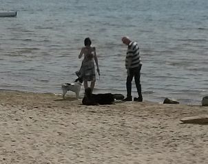 Guest house 060747 - Bungalow Friese elfsteden - Strandbungalow P- 4-6