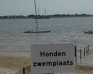 Guest house 060747 - Bungalow Friese elfsteden - Strandbungalow P- 4-6