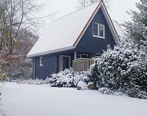 Unterkunft 060808 - Ferienhaus Friese bossen - Vakantiehuisje Gaasterland Oudemirdum