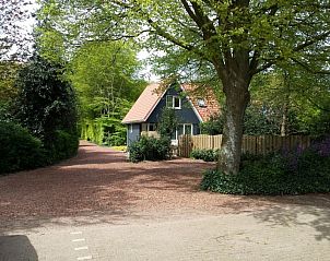 Unterkunft 060808 - Ferienhaus Friese bossen - Vakantiehuisje Gaasterland Oudemirdum