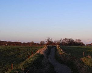 Unterkunft 060808 - Ferienhaus Friese bossen - Vakantiehuisje Gaasterland Oudemirdum