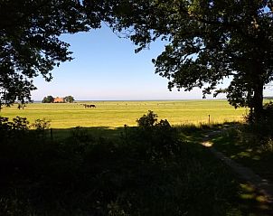 Unterkunft 060808 - Ferienhaus Friese bossen - Vakantiehuisje Gaasterland Oudemirdum