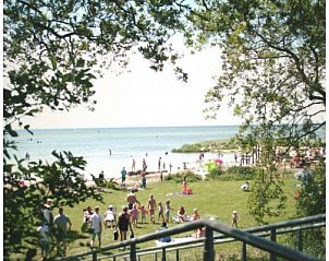 Unterkunft 060808 - Ferienhaus Friese bossen - Vakantiehuisje Gaasterland Oudemirdum