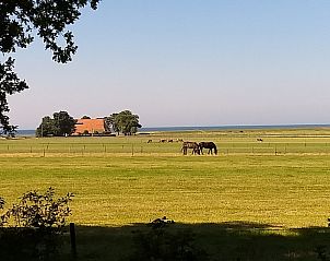 Unterkunft 060808 - Ferienhaus Friese bossen - Vakantiehuisje Gaasterland Oudemirdum