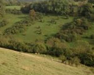 Verblijf 060925 - Vakantiewoning Ardennen (Luik) - Vakantiehuis in Theux