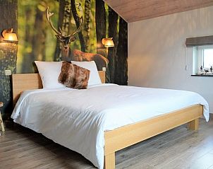 Guest house 0614603 - Holiday property Liege - Petite Perle en Haute Ardenne