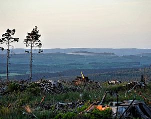 Guest house 0614603 - Holiday property Liege - Petite Perle en Haute Ardenne