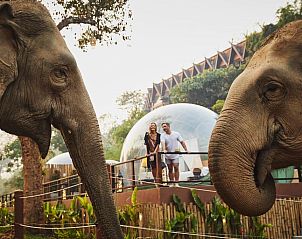 Verblijf 0630603 • Vakantie appartement Noord-Thailand • Anantara Golden Triangle Elephant Camp & Resort - SHA Certif 