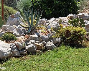 Guest house 0635603 - Holiday property Peloponnesia - Oneiro Mas