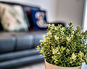 Verblijf 065103501 - Appartement Engeland - Appartement Aldridge Square