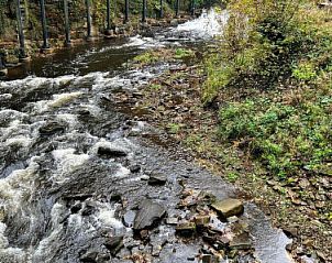 Verblijf 065104601 - Vakantiewoning Engeland - Vakantiehuis Suzy's Cottage