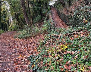 Verblijf 065104601 - Vakantiewoning Engeland - Vakantiehuis Suzy's Cottage