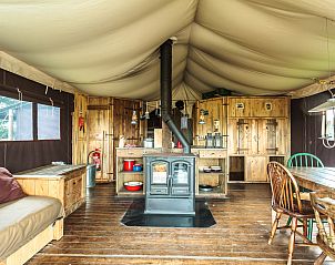 Unterkunft 06519002 - Zelthaus England - Tenthuisje met warme privédouche in de tent