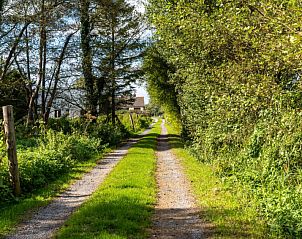 Guest house 06541101 - Holiday property England - Vakantiehuis The Annexe at Rosebud Cottage