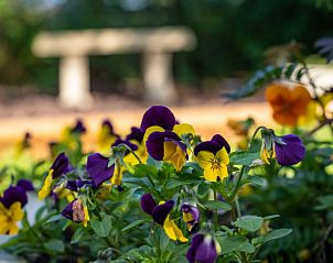 Guest house 06541101 - Holiday property England - Vakantiehuis The Annexe at Rosebud Cottage