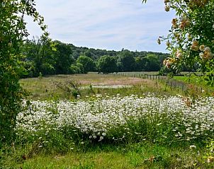 Guest house 0661402 - Holiday property Liege - Vakantiehuisje in Neu Moresnet