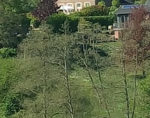 Guest house 0668203 - Holiday property Liege - Vakantiehuis in Sankt Vith