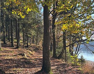 Natuurlijke omgeving bij Huisje in Kchelscheid, vakantiehuis in de Ardennen, Luik, Belgi, met bosrijk wandelpad.
