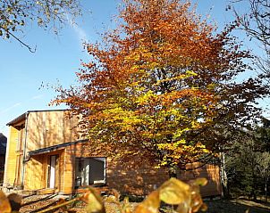 Verblijf 067801 - Vakantiewoning Ardennen (Luik) - Huisje in Küchelscheid