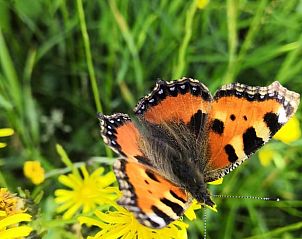 Verblijf 067801 - Vakantiewoning Ardennen (Luik) - Huisje in Küchelscheid