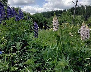 Verblijf 067801 - Vakantiewoning Ardennen (Luik) - Huisje in Küchelscheid