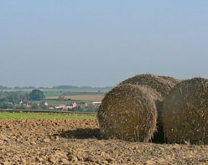 Guest house 070301 - Bed and Breakfast Hainaut - La Rose Laitiere
