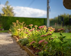 Guest house 070502 - Holiday property Hainaut - Vakantiehuisje in Sivry