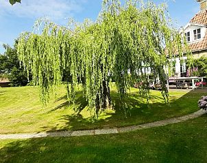 Schaduwrijke boom bij Huisje in Sandfirden, vakantiehuis in Heegermeer, Friese meren.