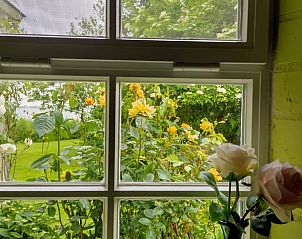 Uitzicht op tuin vanuit Huisje in Sandfirden, vakantiewoning in Heegermeer, Friese meren.
