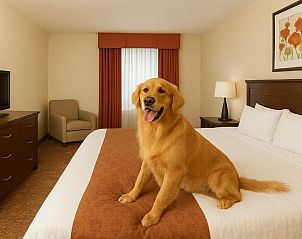 Unterkunft 0725803 - Appartement Rocky Mountains - Crystal Inn Hotel & Suites - Great Falls